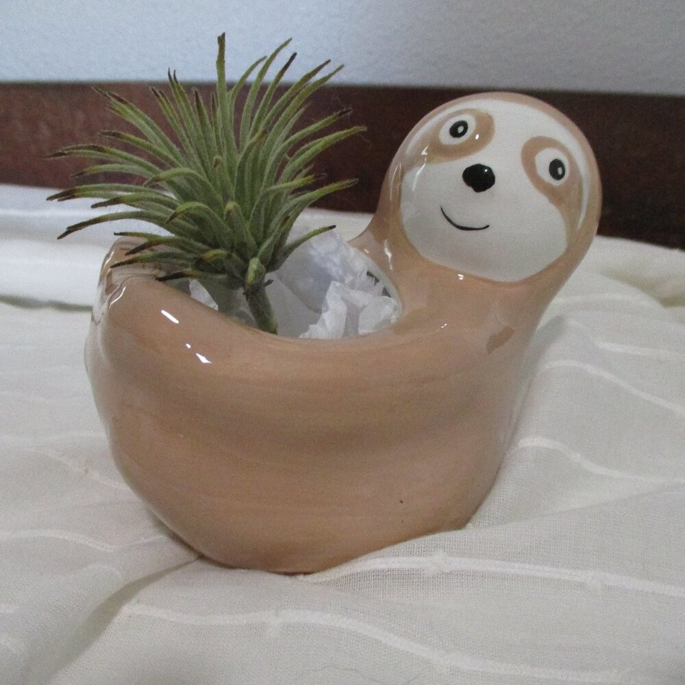 Succulent planter / Sammie the Sloth NWT